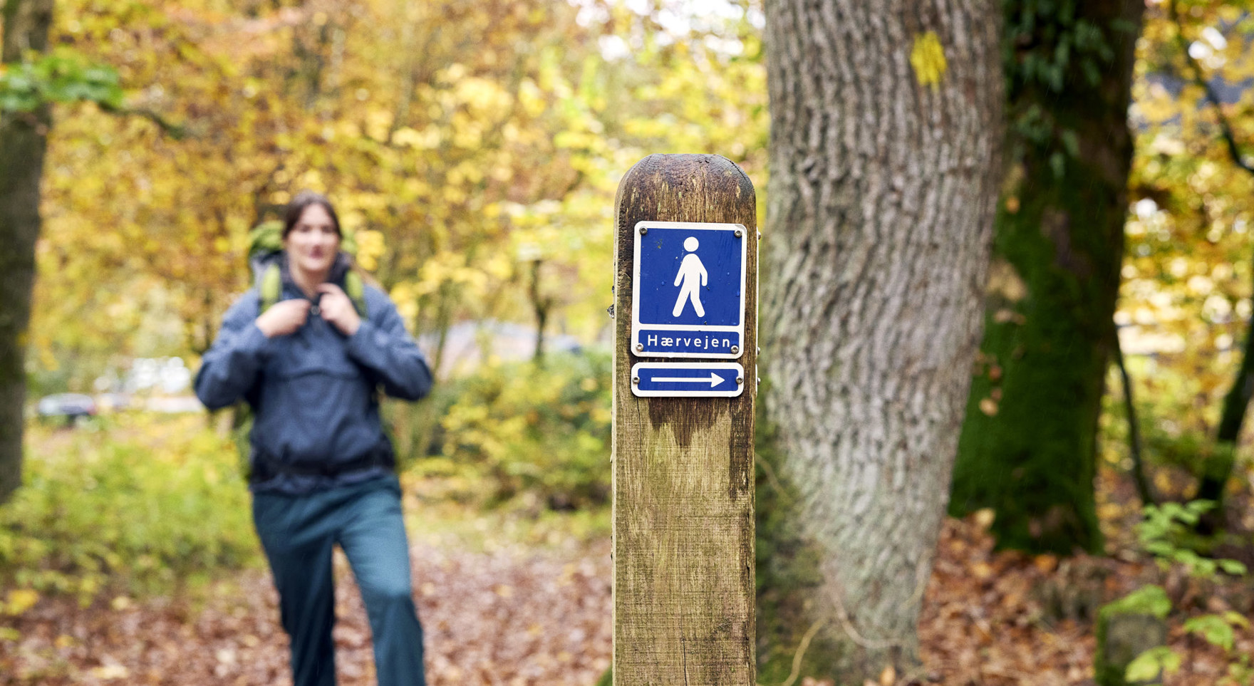Hærvejsvandrer med rute_højkvalitet_Andreas Houmann