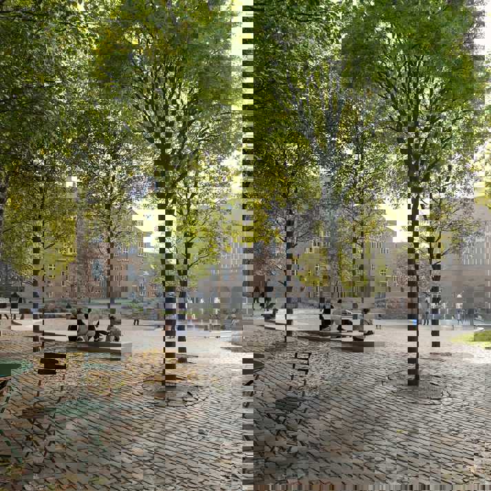 Levinsen_Stænderpladsen_set fra Domkirkepladsen