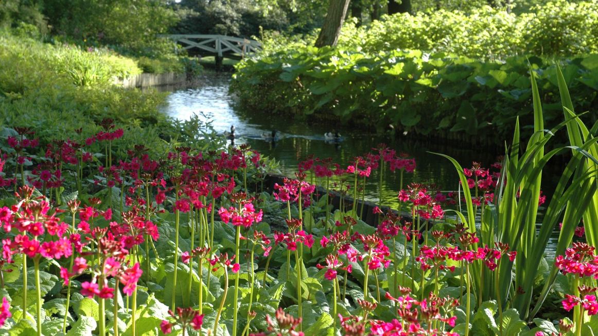 Smukke blomster ved åren i byparken Borgvold Foto: Hans Jørgen Lysholm