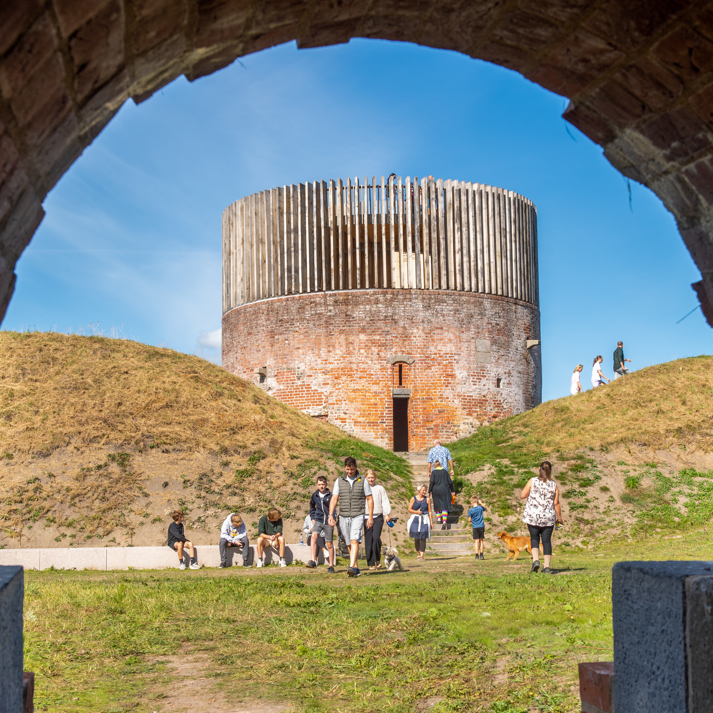 De fem Halder set gennem bue_jepser maagaard