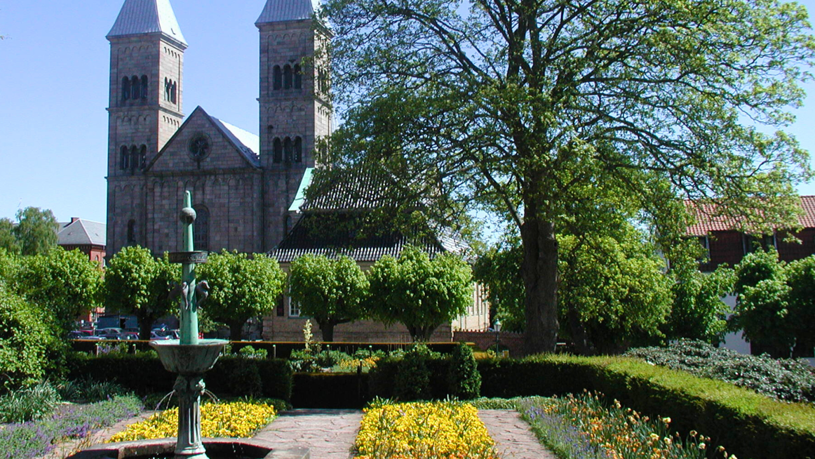 Viborg Domkirke set fra en flot blomstrende Latinerhave. Foto: Charlotte Kastbjerg