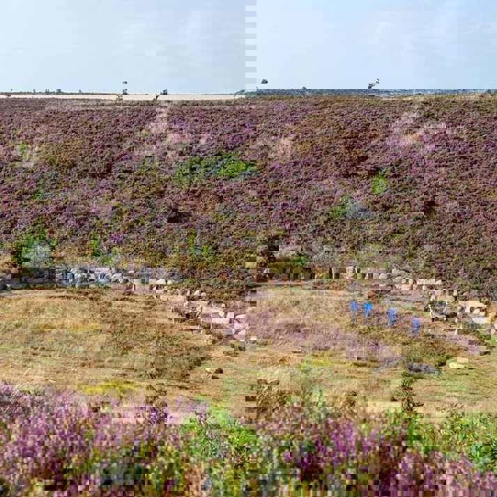 Kongenshus Mindepark - Jesper Maagaard